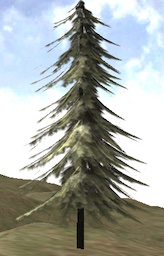 oktree